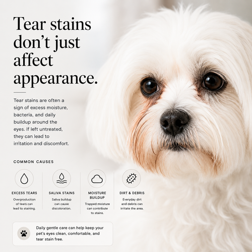 PurePaws BrightEyes™ Tear Stain Remover